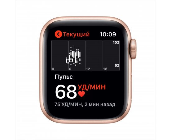 приобрести Apple watch SE 44мм розовое золото заказать Apple watch SE 44мм розовое золото