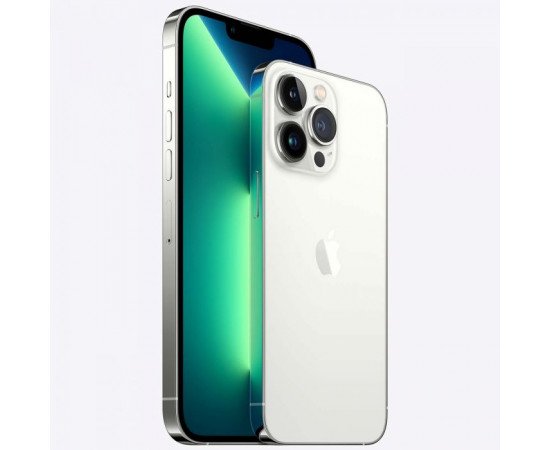 заказать  Apple iPhone 13 Pro Max 1024GB Silver