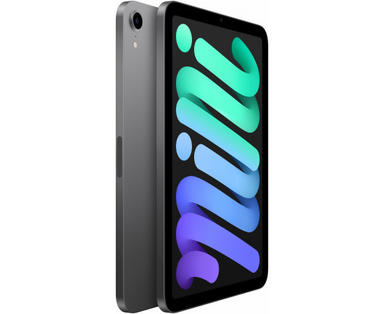 купить  Apple iPad mini (2021) Wi-Fi 256 ГБ, «серый космос»