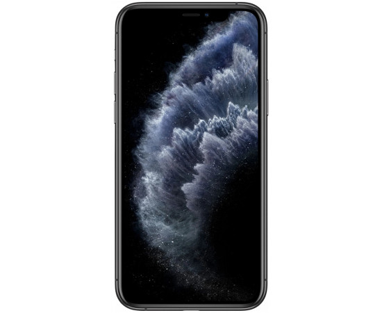 заказать  Apple iPhone 11 Pro Max 512 ГБ «серый космос»