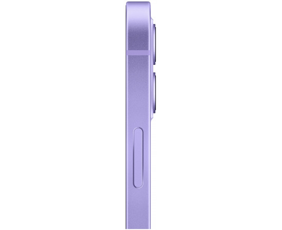 заказать  Apple iPhone 12 mini 256GB Purple