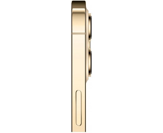 приобрести Apple iPhone 12 Pro 128GB Gold приобрести Apple iPhone 12 Pro 128GB Gold